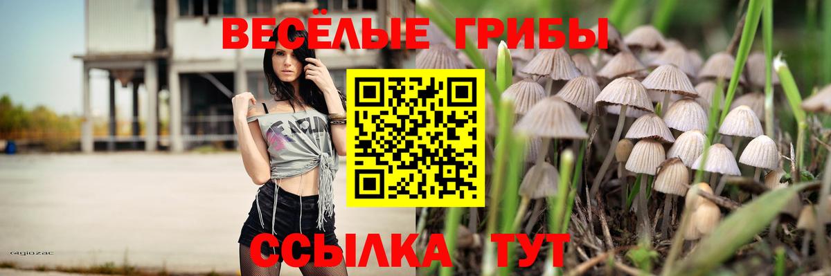 Верхняя Пышма  Галлюциногенные грибы MAGIC MUSHROOMS  Вход с VPN  Галлюциногенные грибы Psilocybe 